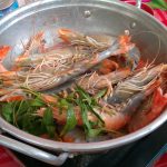 Live shrimp before being steamed in Cu Chi